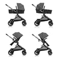 thumbnail image 3 of Evenflo Pivot Xpand Modular Stroller (Sabino Gray), 3 of 5