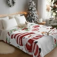 thumbnail image 3 of Merry Christmas Flannel Blanket for Bed,Travel and Camping, Xmas Ball Poinsettia Red Berry Bird Super Soft Cozy Blanket for All Seasons 50"x60", 3 of 9