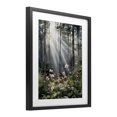 thumbnail image 2 of Stupell Industries Farmhouse Sunlit Woods In Morning Black Framed Print Under Glass, 13 x 16, by Franklyn Gregory, 2 of 8