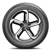 BF Goodrich Advantage Control 225/55R17XL 101H