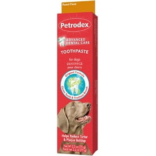 Dog toothpaste brands sale