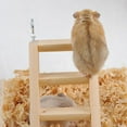 thumbnail image 6 of Walbest 165mm Length 115mm Height Wooden Ladder Hamster Ladder Wood Cage Hanging Ladder for Mouse, Chinchilla, Rat, Gerbil and Dwarf Hamster, 6 of 7