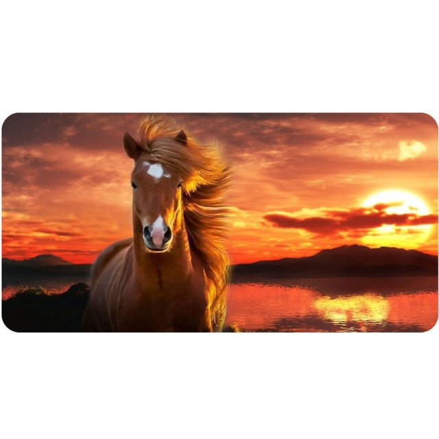 Plaque d'Immatriculation Photo Cheval et Coucher de Soleil