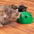 thumbnail image 4 of Pop n'Play(TM) Interactive Cat Toy, 4 of 9