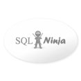 thumbnail image 1 of CafePress - SQL Ninja Sticker - Sticker (Oval), 1 of 1