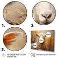thumbnail image 3 of Designart "Textured Beige Sheep II" Animals Floater Framed Wall Decor, 3 of 7