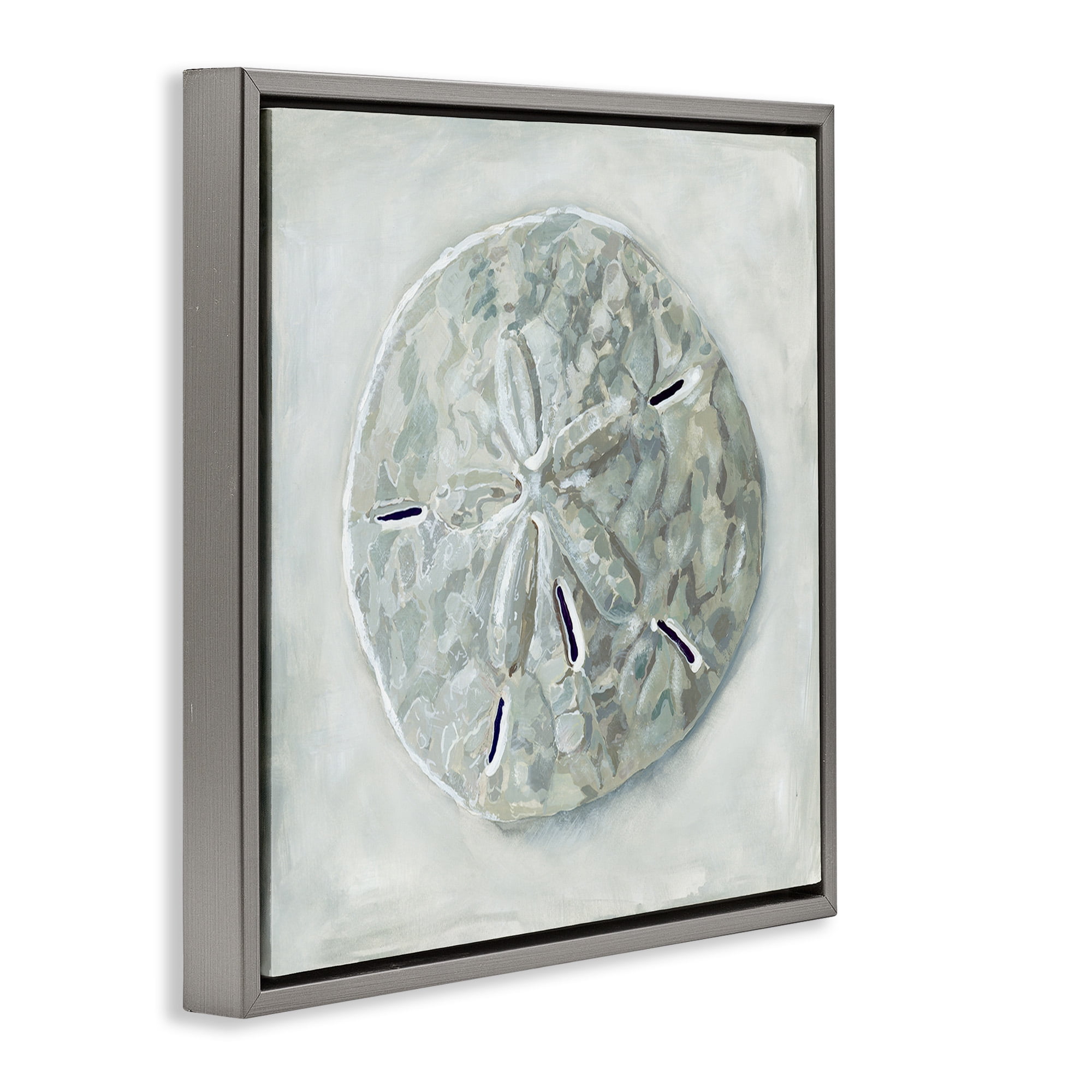 Stupell Industries Grey Sand Dollar Seashell Nature Painting Gray Floater Framed Canvas Art Print Wall Art, 25 x 25
