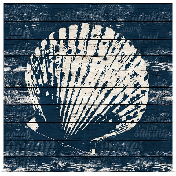 Great BIG Canvas | "Coastal Wonder III" Art Print - 20x20