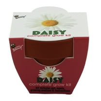 Buzzy Daisy Flower Grow Kit Mini Terracotta Pot Item 97716