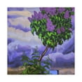 thumbnail image 1 of Xavier Roche - Canvas, 1 of 10