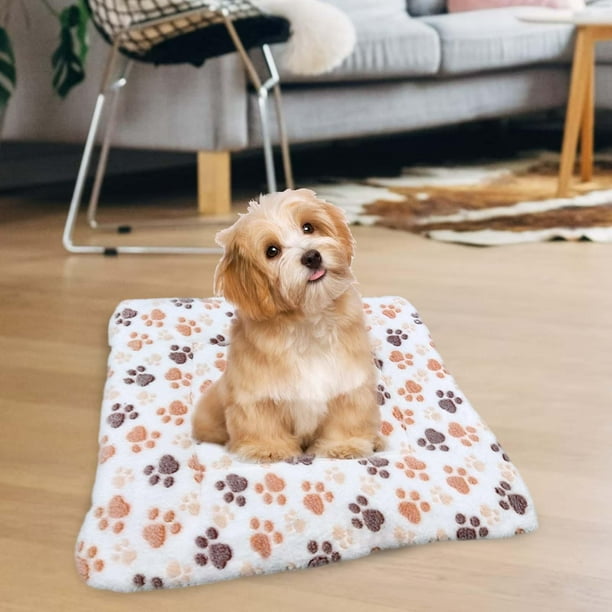 Dog crate 2025 pad walmart