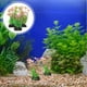 thumbnail image 4 of 10 piezas de peces plantas de plástico tanques de agua planta plantas de acuario falsas decoraciones de acuarios para peces, 4 of 4