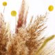 thumbnail image 2 of 60 piezas de hierba de pampa natural seca flores secas de 17,72 pulgadas para Boho Afortunado Sencillez, 2 of 5