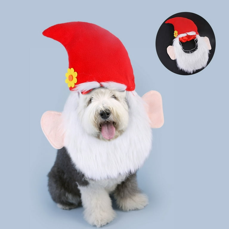 Dog santa hat and cheap beard