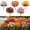 Mix, variant on Artificial Fall Daisy Outdoor Flowers, 5 Bundles UV Resistant Fake Mums with Eucalyptus, Waterproof Faux Silk Plants for Porch Garden Window Box Autumn Home Decor, Gift for Mom