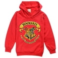 thumbnail image 1 of Sudaderas de Harry Potter para niños y niñas, suéteres con capucha de manga larga, ropa de moda para niños, regalos de cumpleaños, 1 of 3