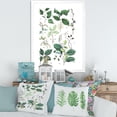 thumbnail image 3 of Designart 'Ancient Botanicals VIII' Traditional Framed Art Print, 3 of 4