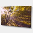 thumbnail image 2 of Bicycle Ride in Fall Forest - Landscape Canvas Art Print, 2 of 3