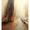 thumbnail image 3 of Ambesonne Landscape Duvet Cover Set, Foggy Forest Woods, Twin, Brown, 3 of 3