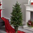 thumbnail image 4 of Nearly Natural 5369 4 ft. Christmas Tree with Urn & Clear Lights, 4 of 5