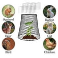 thumbnail image 5 of MOQIN Plant Protectors from Animals Metal Plant Cages for Outdoor Plants Plant Cage & Supports -Chicken Wire Cloche Plant Covers Garden Netting Metal Heavy Duty Plant Protectors -9in x9in, 5 of 6