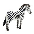 thumbnail image 1 of MGM - 387005 - Figura animal cebra - XL - 10 x 10 cm MGM Grand 387005, 1 of 2