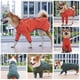 thumbnail image 2 of Chaqueta impermeable para perros, impermeable, reflectante, para exteriores, para perros pequeños, Eccomum Abrigo al aire libre, 2 of 7
