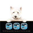 thumbnail image 3 of Cesar Classic Loaf in Sauce Lamb Recipe Soft Wet Dog Food, 3 of 4