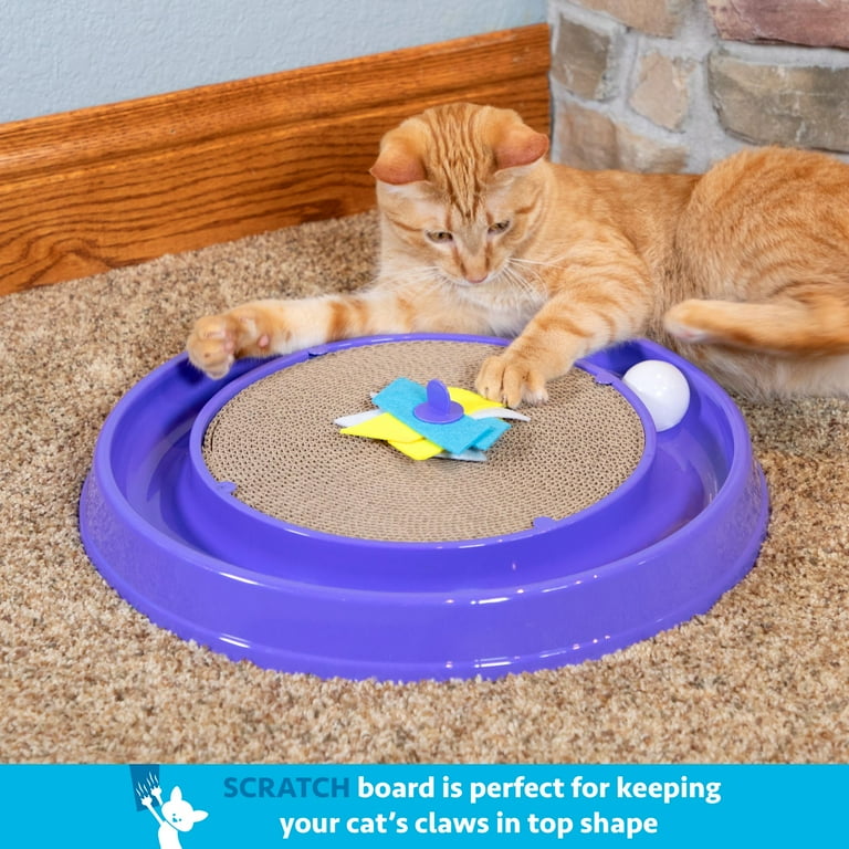Kitty City Scratcher Ball Track Walmart