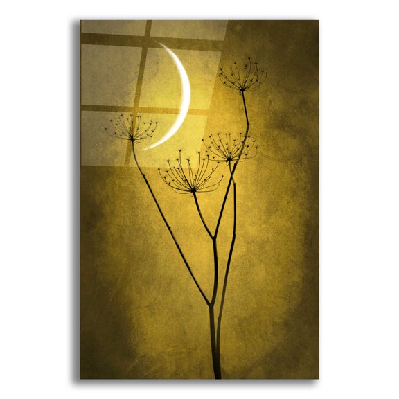 Epic Art 'Yellow Crescent Moon' by Philippe Sainte-Laudy, Acrylic Glass Wall Art, 16"x24"
