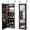 Brown, variant on Gymax  Wall Door Mounted Lockable Jewelry Cabinet Armoire Organizer w/LED White