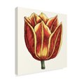 thumbnail image 2 of Trademark Fine Art 'Tulip Garden IV' Canvas Art by Vision Studio, 2 of 4