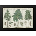 thumbnail image 2 of Schlabach, Sue 14x11 Black Modern Framed Museum Art Print Titled - Woodland Chart I, 2 of 5