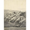 thumbnail image 2 of Giovanni Domenico Tiepolo 19x24 Gold Ornate Framed and Double Matted Museum Art Print Titled - A Flock of Sheep Drinking at a Pool, with a Bullock and a Dog (After 1763), 2 of 4