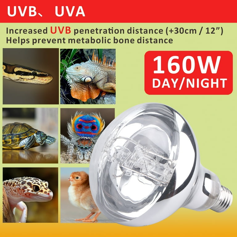 Mercury vapor on sale uvb bulb