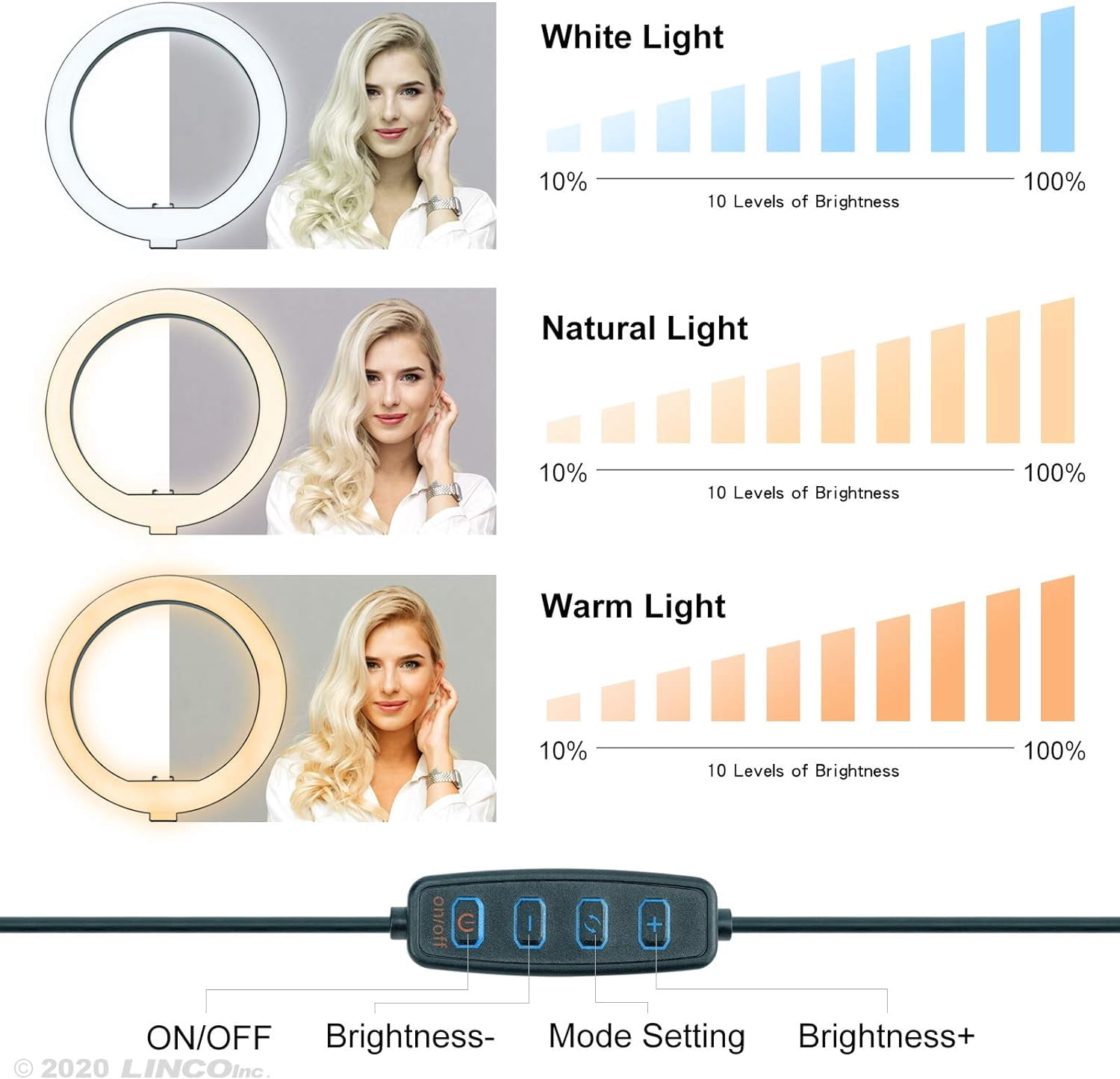 LINCO T-Shape Backdrop Stand with Green Screen & 10" Ring Light Stand Lighting Kit for TikTok