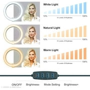 LINCO T-Shape Backdrop Stand with Green Screen & 10 Ring Light Stand Lighting Kit for TikTok
