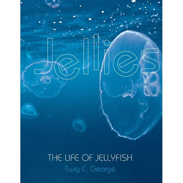 steve madden women's skyler reviews