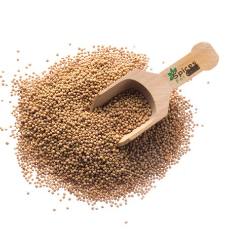 Mustard Seeds  Whole Yellow - 50 lbs - Kosher Certified
