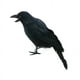 thumbnail image 1 of Black-Feathered Small Crows Halloween Decorations | Outdoor&Indoor Decor | Fake Bird, Halloween Birds, Scary Ravens, Decorative Crows, Raven | Home, Fence, Porch, Tree, Party Decoration, 1 of 6
