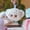 One Box (Random), variant on Yooki V6 Mini Ocean Baby Series Plush Blind Box, Cute Yooki Anime Figure Keychain Pendant Mystery Box, Surprise Collectible Mystery Stuffed Toys Bag Charm Xmas Birthday Gift