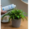 thumbnail image 5 of Essential Oxygen Food Grade Hydrogen Peroxide Antibacterial All-Purpose Cleaner, 32 oz, Pack of 3, 5 of 9
