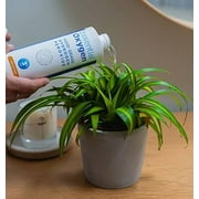 Essential Oxygen 3% Food Grade Hydrogen Peroxide, Non-Toxic All Purpose Cleaner, 16 oz, Pack of 3