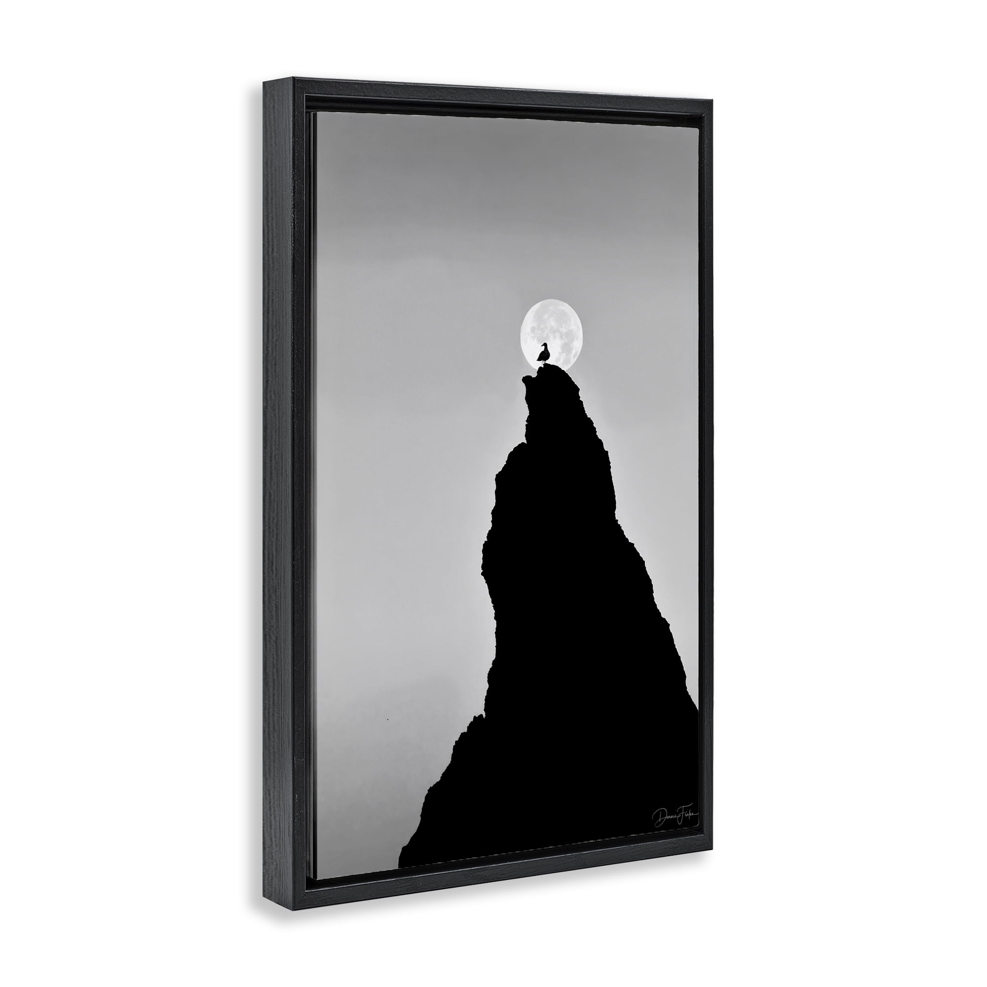 Stupell Industries Bird Silhouette on Peak Landscape Photography Black Floater Framed Art Print Wall Art, 17 x 25