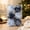 A, variant on Toile Print Fabric Wrapped Vintage Chinoiserie Christmas Ornament Balls With Velvet Ribbon For Xmas Tree Wreath Mantel Wedding Table Decor 6 Pack