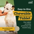 thumbnail image 4 of Credelio Quattro Chewable Tablets for Dogs 3.3-6 lbs, 6-in-1 Parasite Protection (6 Month Supply), 4 of 11
