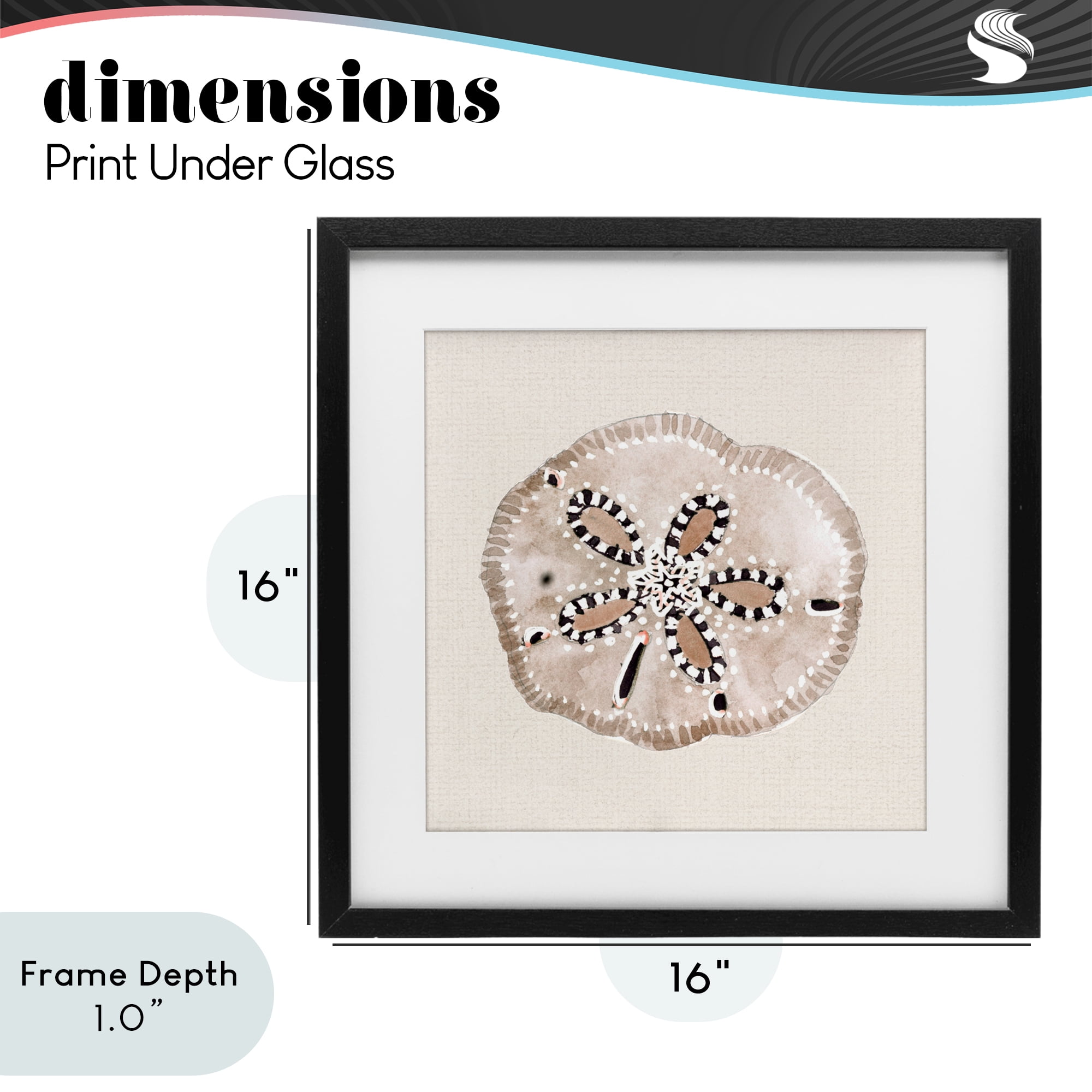 Stupell Industries Taupe & Beige Sand Dollar Black Framed Print Under Glass, design by Lanie Loreth