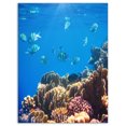 thumbnail image 2 of Bright Blue Waters and Coral Fish - Large Seashore Canvas Print, 2 of 3