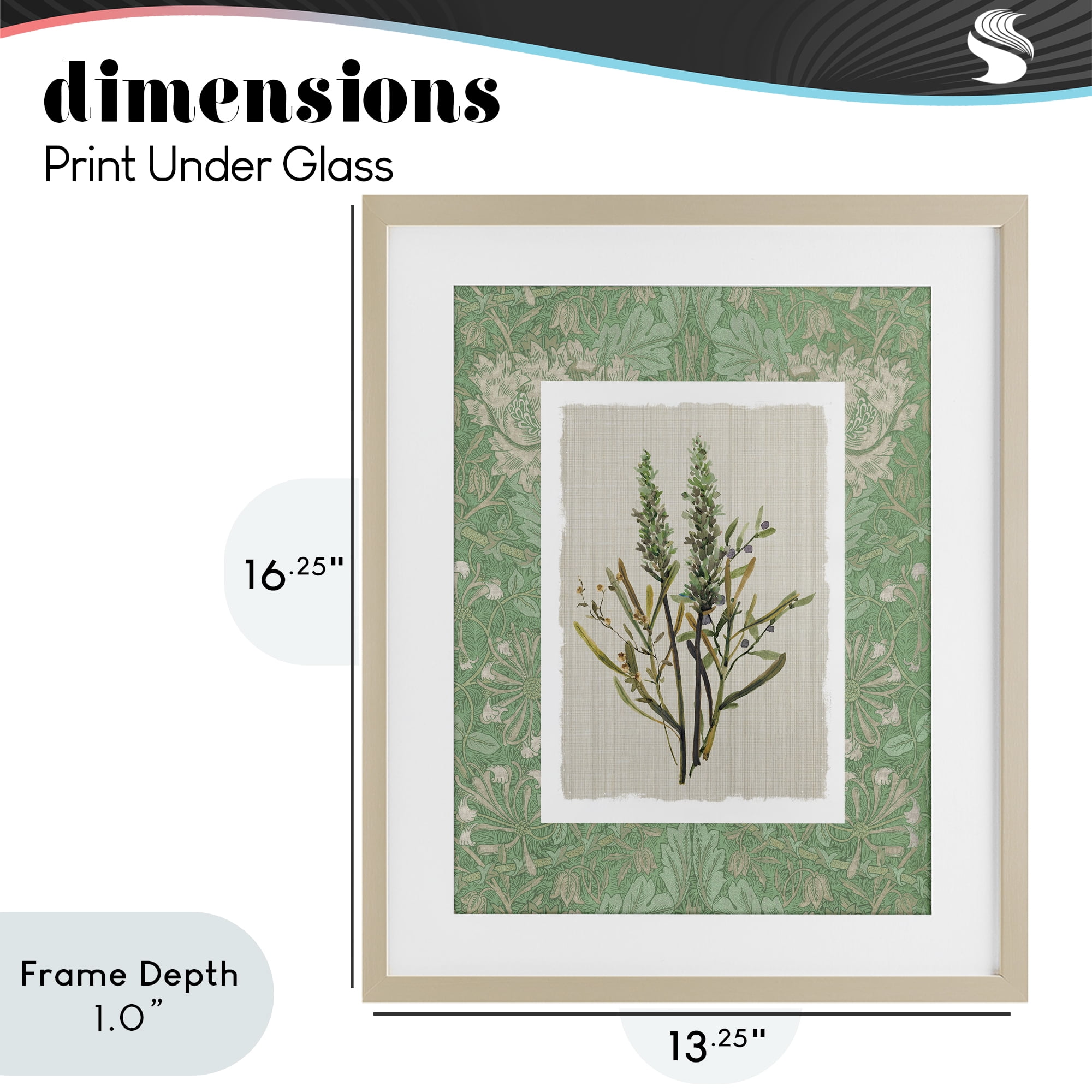 Stupell Industries Antique Foliage in Green Birch Framed Print Under Glass, design by Carol Robinson