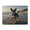 1000 Pieces, variant on Dog Beach Ocean Sand Water 500-Piece Wooden Jigsaw Puzzle for Adults, Fun & Challenging Family Brain-Teaser, Perfect Home Decor & Gift